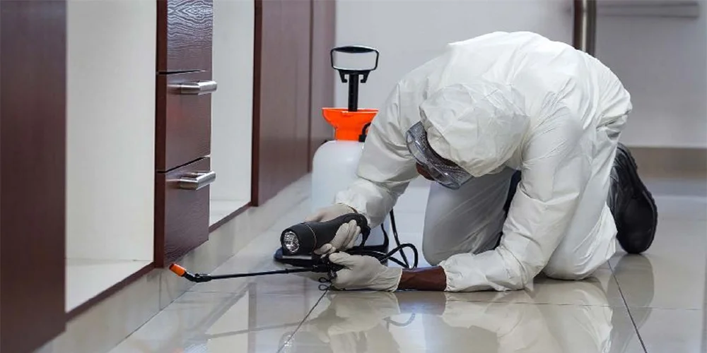 Termite Management Post Construction